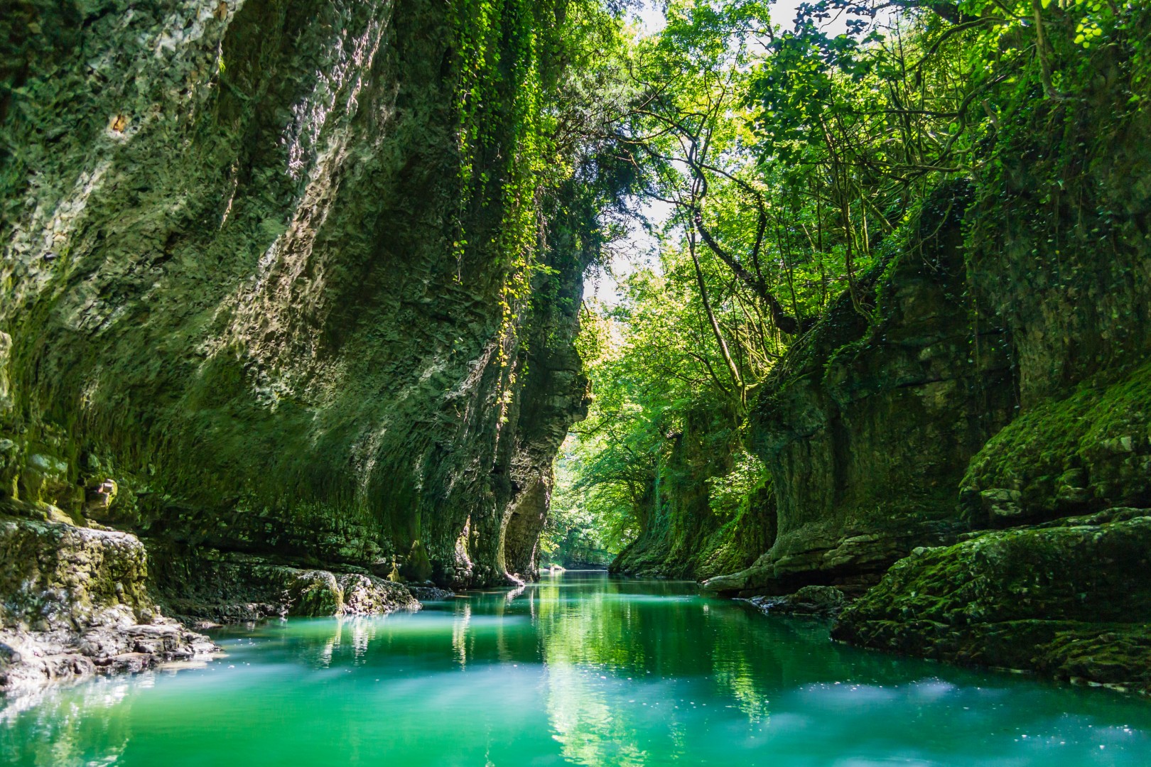 Shutterstock 1684554427